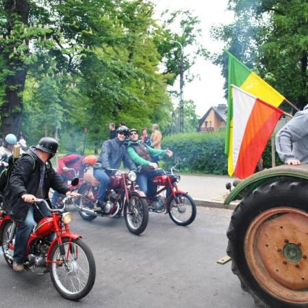 Wyświetl org. rozmiar
