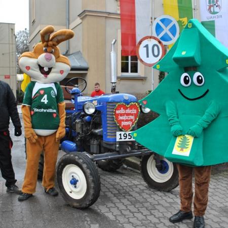 Wyświetl org. rozmiar