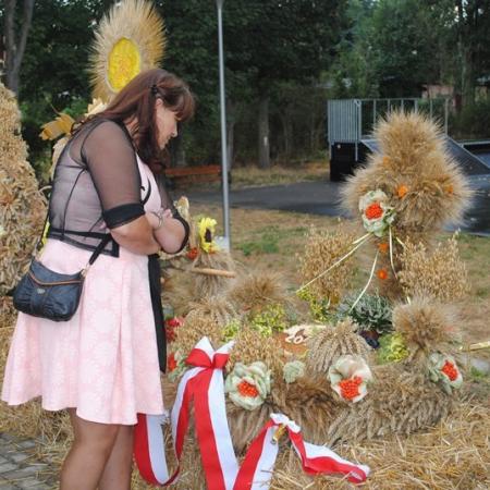 Wyświetl org. rozmiar