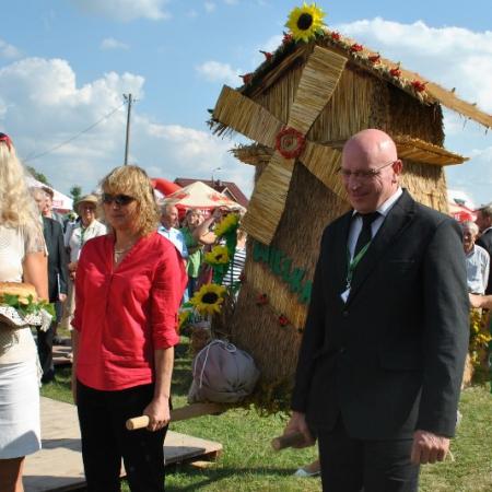 Wyświetl org. rozmiar