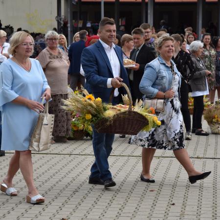 Wyświetl org. rozmiar