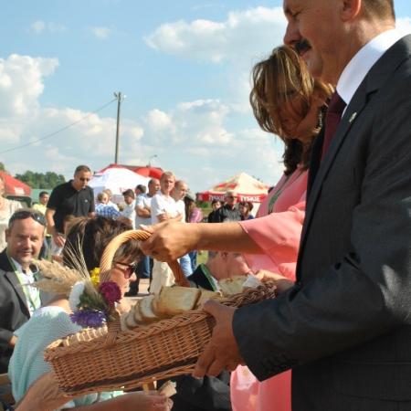 Wyświetl org. rozmiar