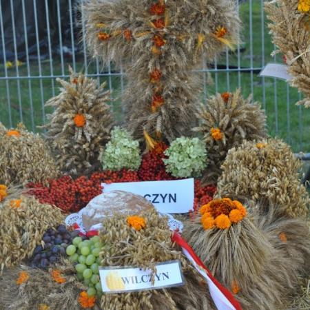 Wyświetl org. rozmiar