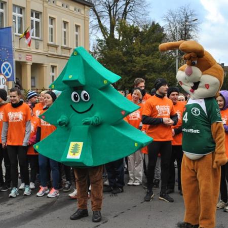 Wyświetl org. rozmiar
