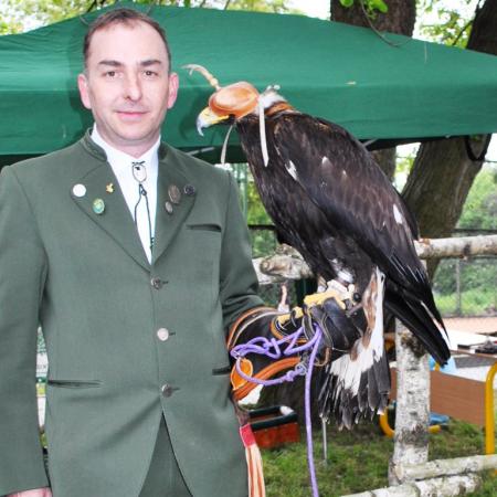 Wyświetl org. rozmiar