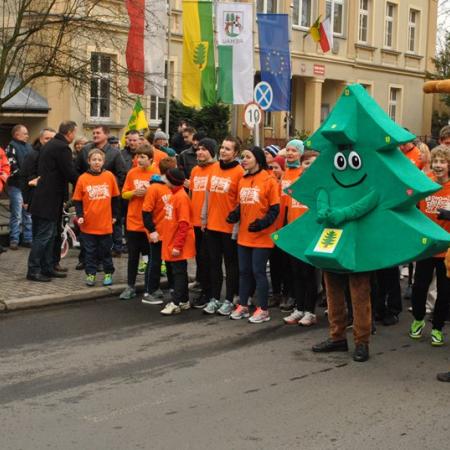 Wyświetl org. rozmiar