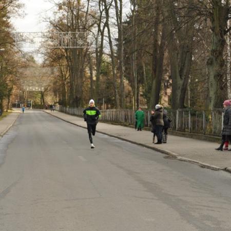 Wyświetl org. rozmiar