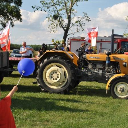 Wyświetl org. rozmiar