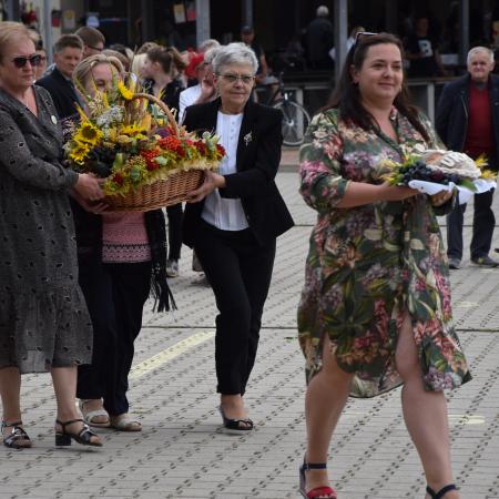 Wyświetl org. rozmiar
