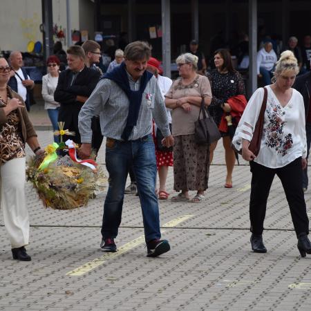 Wyświetl org. rozmiar
