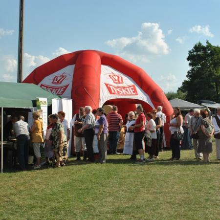 Wyświetl org. rozmiar