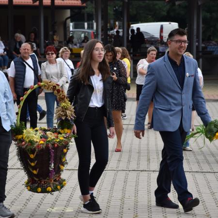 Wyświetl org. rozmiar