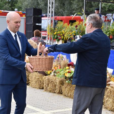 Wyświetl org. rozmiar