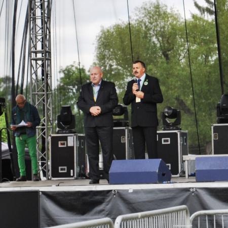 Wyświetl org. rozmiar