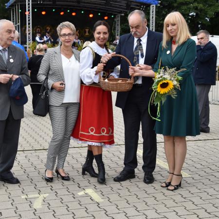Wyświetl org. rozmiar