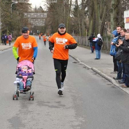 Wyświetl org. rozmiar