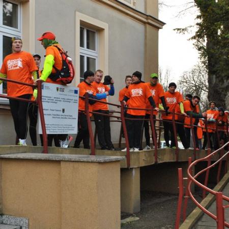 Wyświetl org. rozmiar