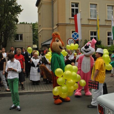 Wyświetl org. rozmiar