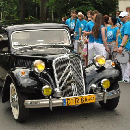 Wyświetl org. rozmiar