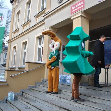 Wyświetl org. rozmiar