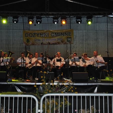 Wyświetl org. rozmiar