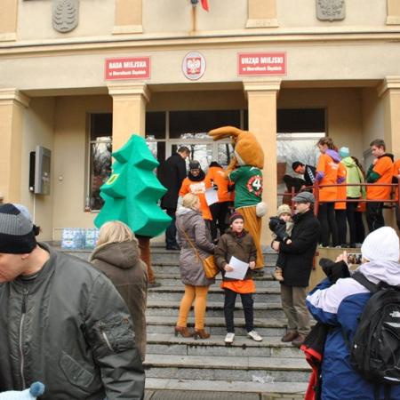 Wyświetl org. rozmiar