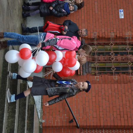 Wyświetl org. rozmiar
