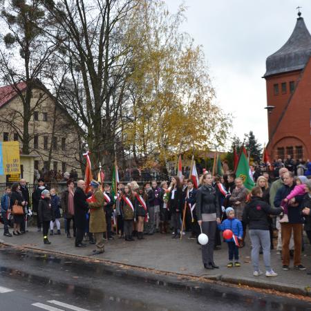 Wyświetl org. rozmiar