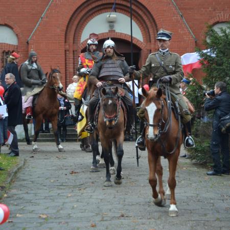Wyświetl org. rozmiar