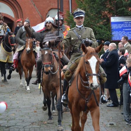 Wyświetl org. rozmiar