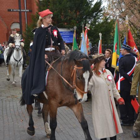 Wyświetl org. rozmiar