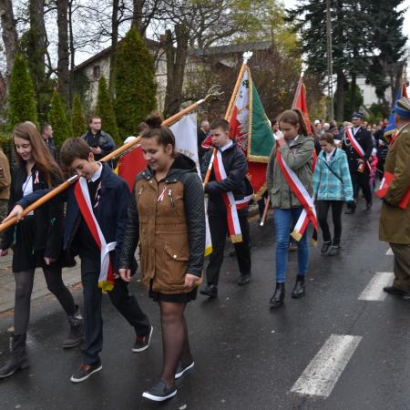 Wyświetl org. rozmiar