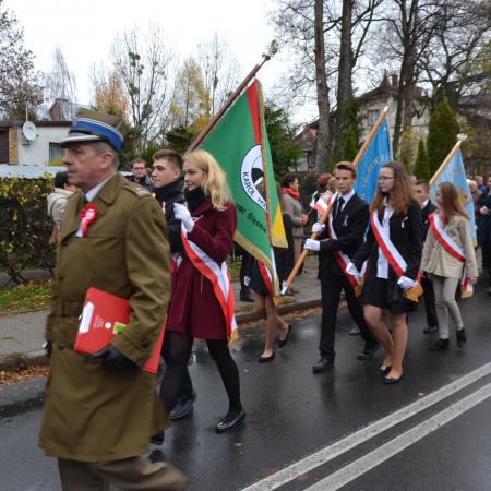 Wyświetl org. rozmiar