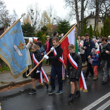 Wyświetl org. rozmiar