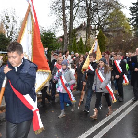 Wyświetl org. rozmiar