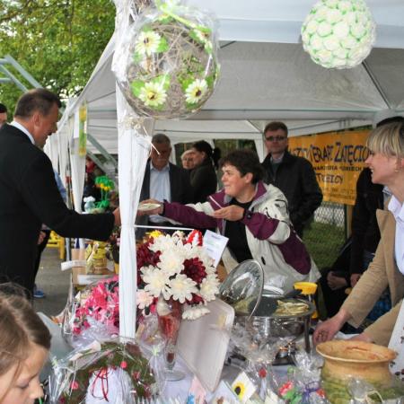 Wyświetl org. rozmiar