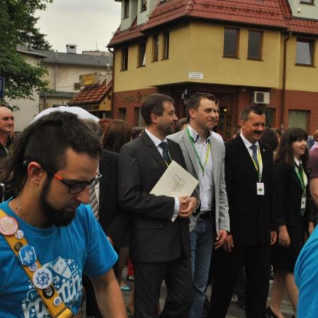 Wyświetl org. rozmiar