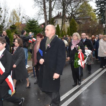 Wyświetl org. rozmiar