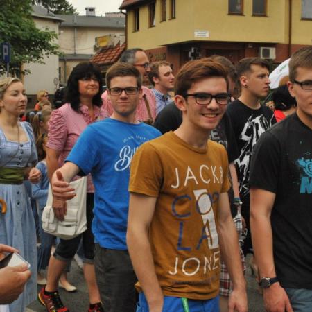 Wyświetl org. rozmiar