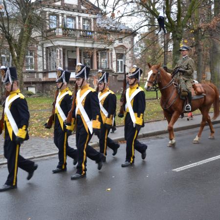 Wyświetl org. rozmiar