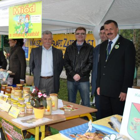 Wyświetl org. rozmiar