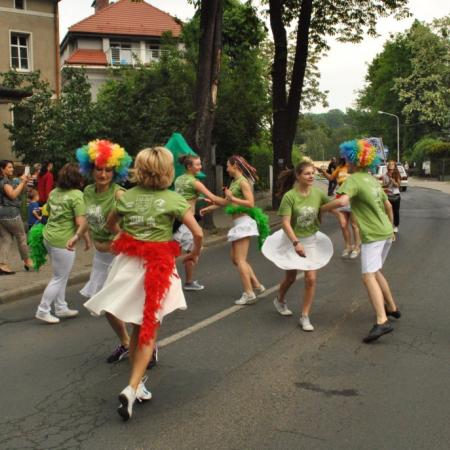 Wyświetl org. rozmiar