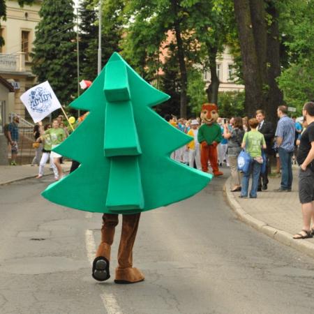 Wyświetl org. rozmiar