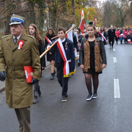 Wyświetl org. rozmiar