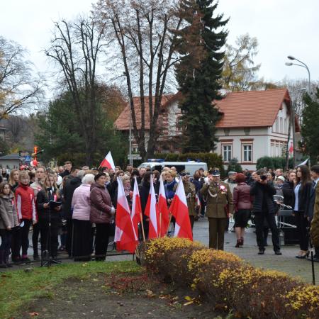 Wyświetl org. rozmiar