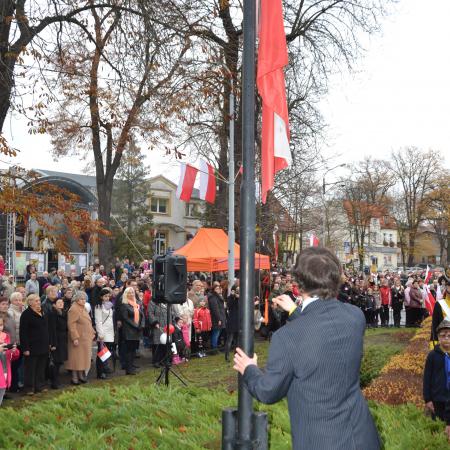 Wyświetl org. rozmiar