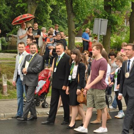 Wyświetl org. rozmiar