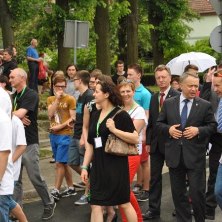 Wyświetl org. rozmiar