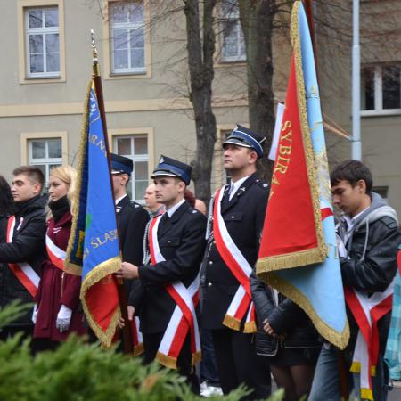 Wyświetl org. rozmiar