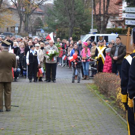 Wyświetl org. rozmiar